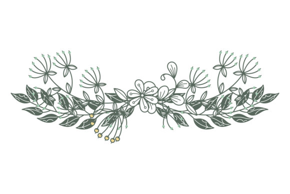 Hand Drawn Vintage Branch: The Floral Divider for Elegant Design