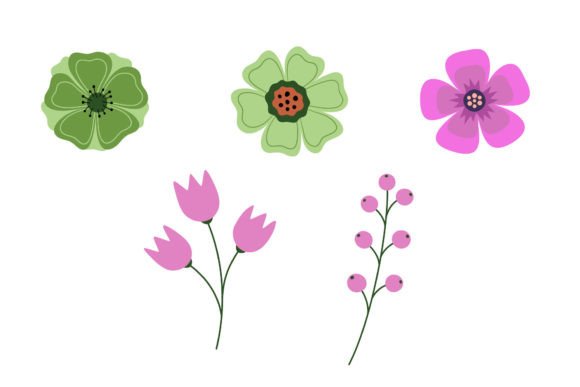 The Art and Utility of Botanical Flower Floral Illustration